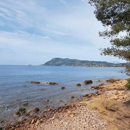 Appartement One-bedroom In St Mandrier Sur Mer