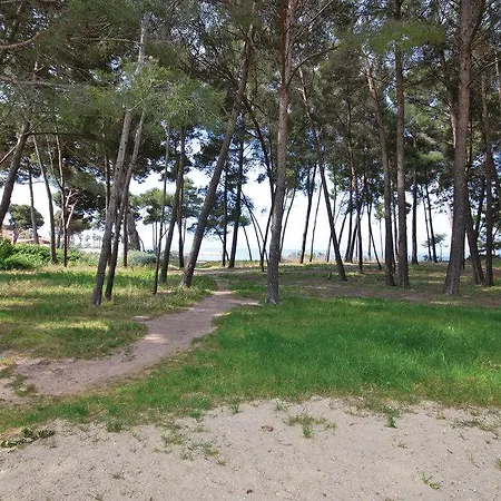 One-bedroom In St Mandrier Sur Mer * Saint-Elme