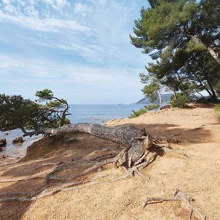 One-bedroom In St Mandrier Sur Mer Appartement